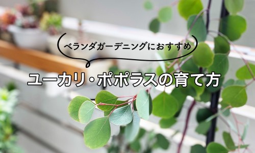 肛裂不用药能自愈吗-肛裂不用药能自愈吗、肛裂不用药会自愈吗? -肛裂不用药网